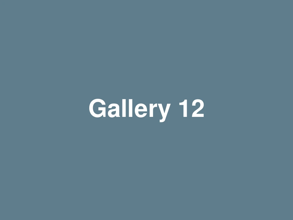 Gallery 12.png