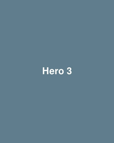 Hero 3.png