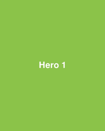 Hero 1.png